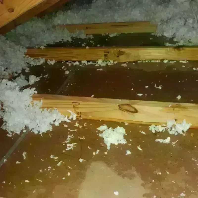 Attic Water Damage in East Bronson, FL