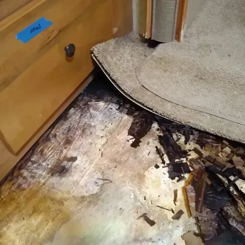 Best Wood Floor Water Damage Service in East Bronson, FL